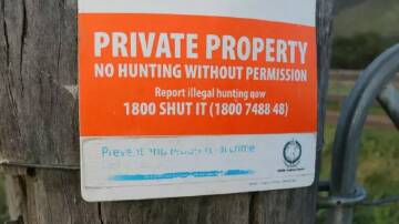 Hunter 'posted' illegal acts
