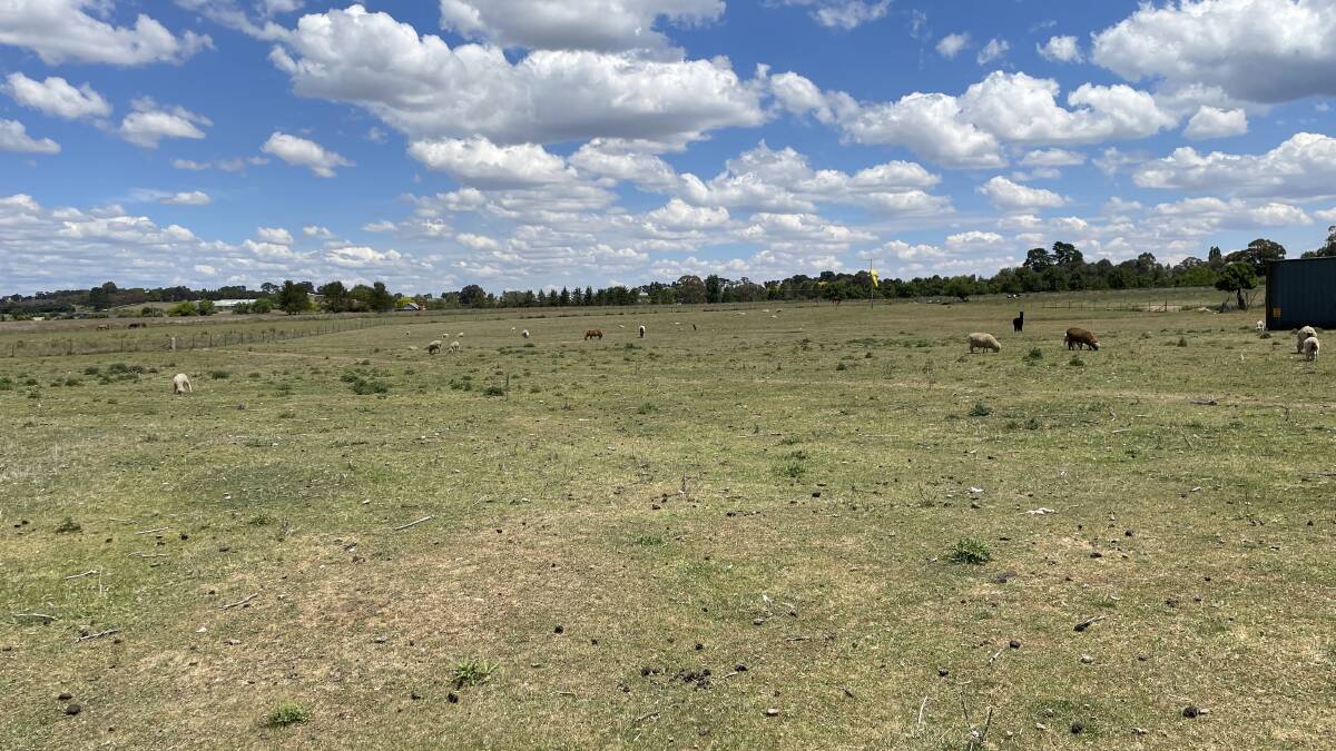 The vacant farm land in Orange's east. Picture by Nick McGrath