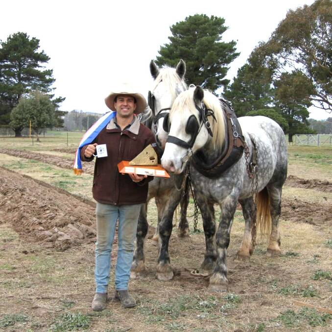 Winner of the 2024 Golden Plough Aleks Berzins from Marlie Draught Horse Stud in Exeter with his grey Australian Draught Horses Zappo and Zouka.