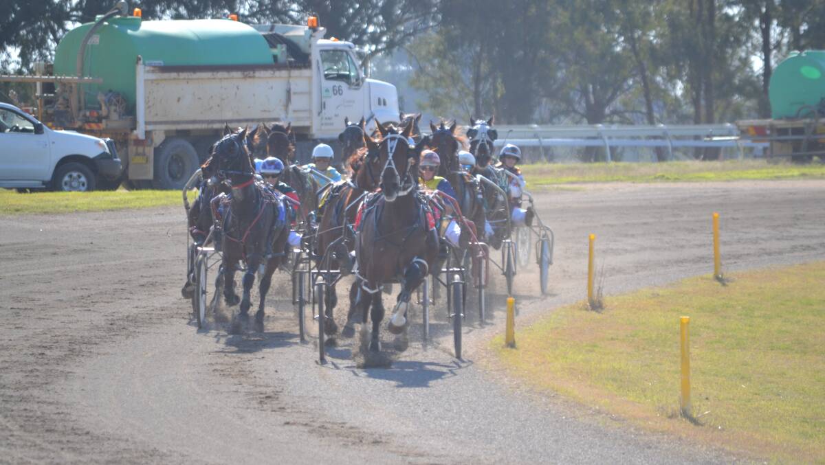 A 10 race program this Sunday kick starts an exciting fortnight for the Cowra Harness Racing Club. Local trainers feature in each event.